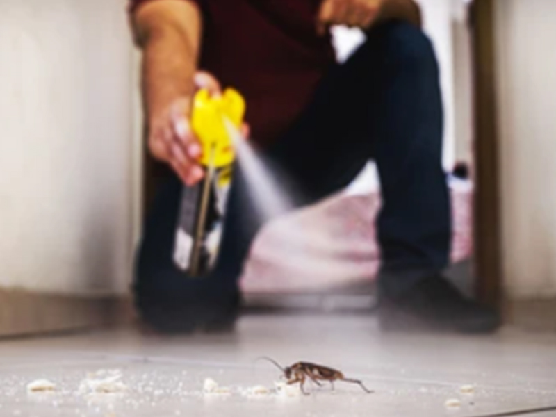 Машины и решения для производства и розлива инсектицидов